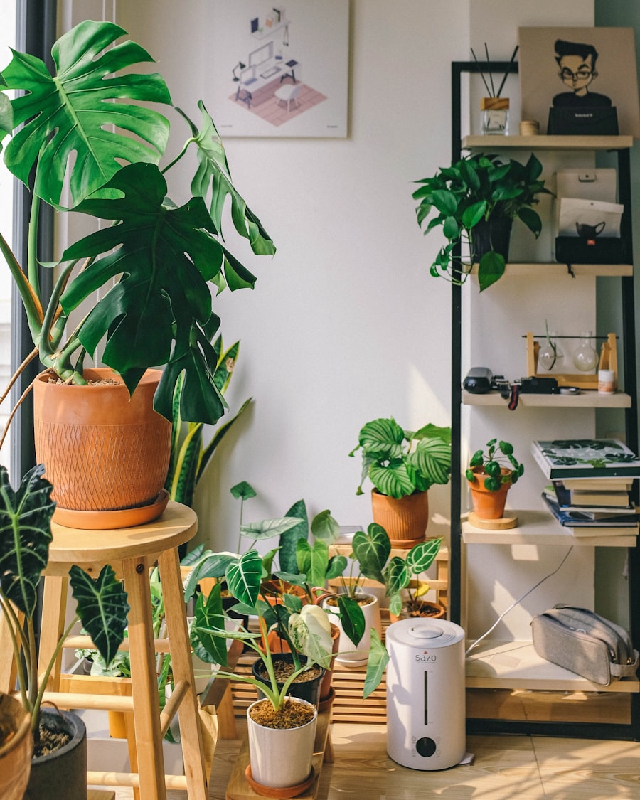 Fiddle-Leaf Fig